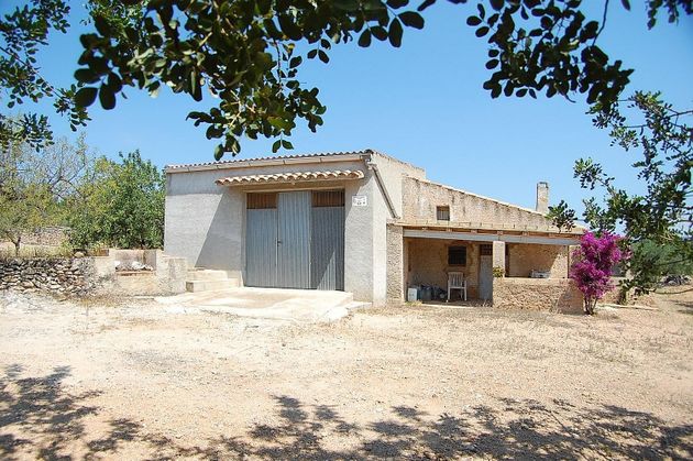 Foto 1 de Casa rural en venda a Perelló, el (Tar) de 1 habitació amb terrassa i jardí