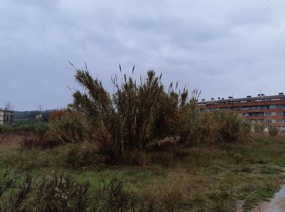 Foto 2 de Venta de terreno en Cassà de la Selva de 11475 m²