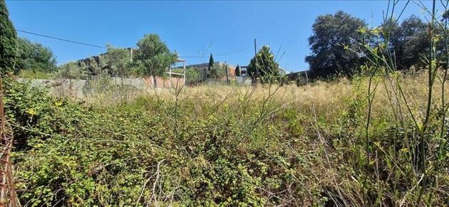Foto 1 de Venta de terreno en Vila de Palafrugell - Llofriu - Barceloneta de 1033 m²
