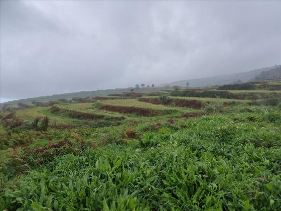 Foto 1 de Venta de terreno en San Juan de la Rambla de 40900 m²