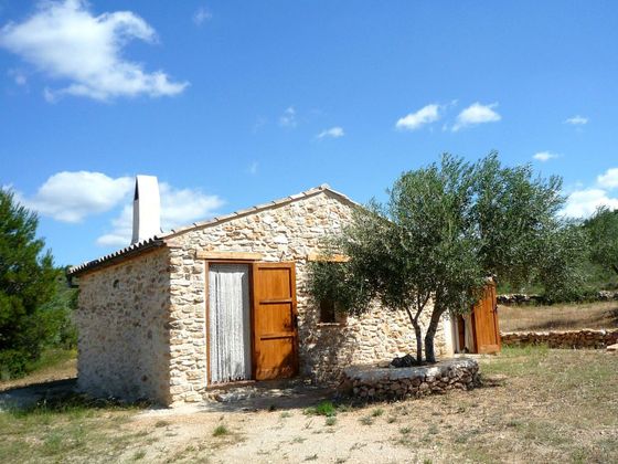 Foto 1 de Venta de casa rural en Tivissa de 1 habitación con jardín