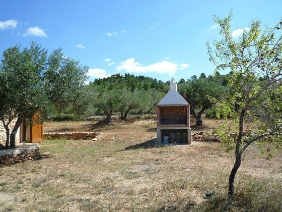 Foto 2 de Casa rural en venda a Tivissa de 1 habitació amb jardí