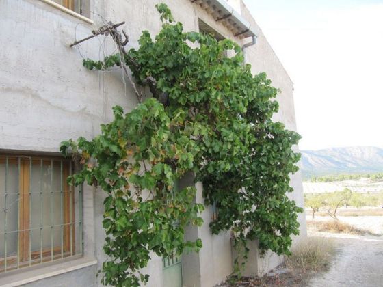 Foto 2 de Casa rural en venta en Monreal de 7 habitaciones con terraza