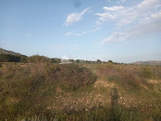 Foto 2 de Venta de terreno en Olleria (l´) de 10769 m²