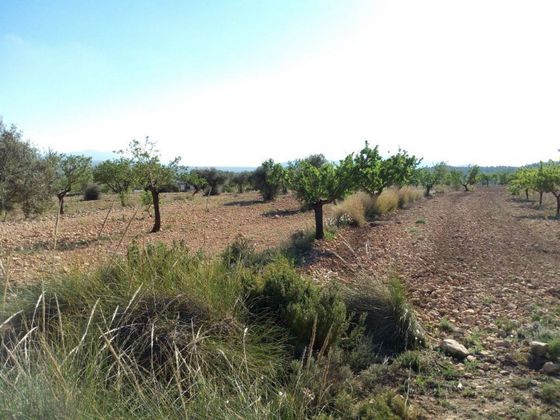 Foto 1 de Venta de terreno en Pinós de 11202 m²