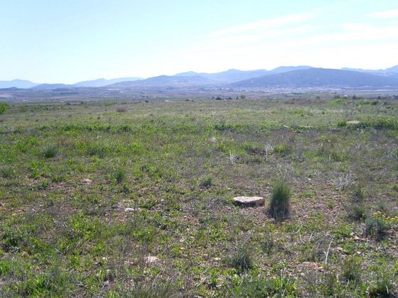 Foto 1 de Venta de terreno en Pinós de 150000 m²