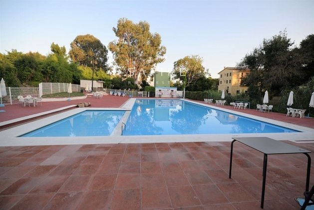 Foto 2 de Local en venta en Els Pins - Politur con piscina