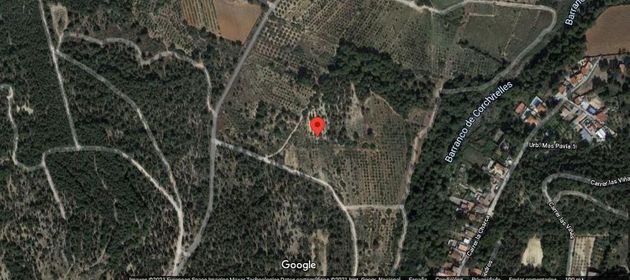 Foto 2 de Venta de terreno en Turís de 54040 m²