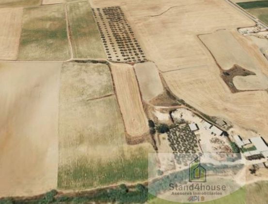 Foto 1 de Venta de terreno en Villalba del Alcor de 5899 m²
