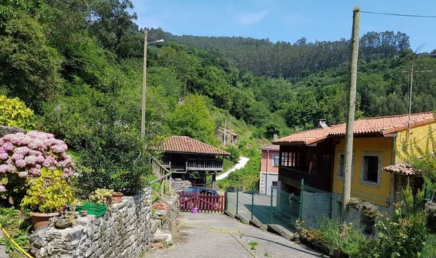 Foto 1 de Casa en venda a avenida Villaviciosa de 2 habitacions amb terrassa i jardí