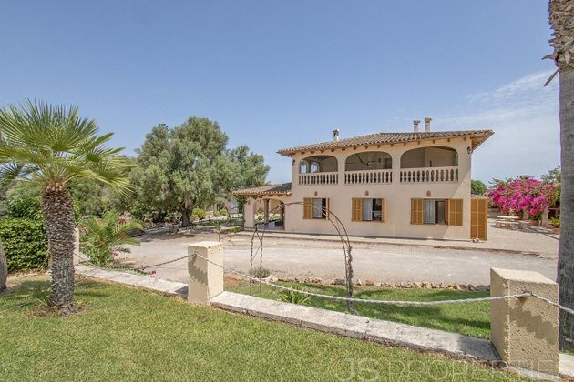 Foto 2 de Venta de casa rural en Santa Margalida de 3 habitaciones con terraza y piscina