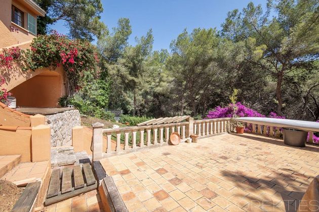 Foto 2 de Casa rural en venda a Costa de la Calma de 3 habitacions amb terrassa i jardí