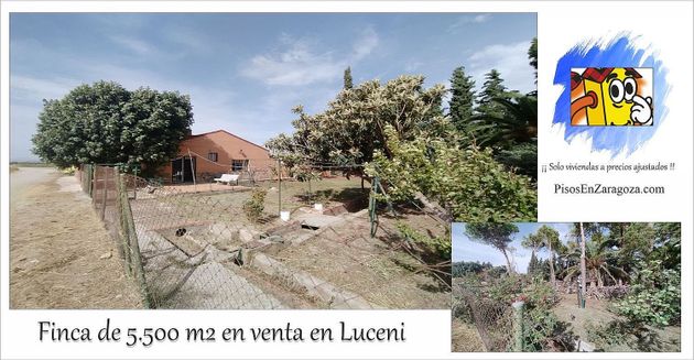 Foto 2 de Casa rural en venta en Luceni de 5 habitaciones con terraza y jardín