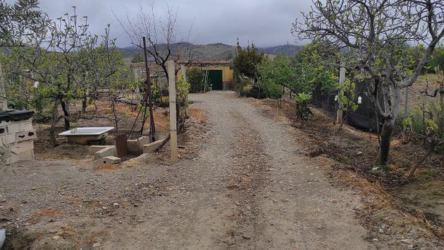 Foto 1 de Casa rural en venda a Fiñana de 1 habitació amb garatge i jardí