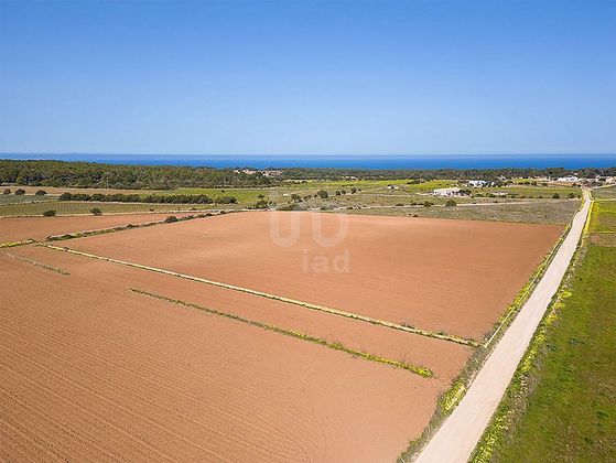 Foto 2 de Terreny en venda a Formentera de 15000 m²
