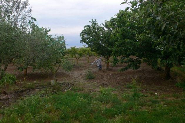 Foto 1 de Venta de terreno en Bisbal d´Empordà, La de 4296 m²