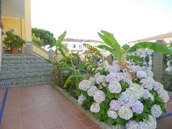 Foto 2 de Xalet en venda a Matalascañas de 6 habitacions amb terrassa i piscina