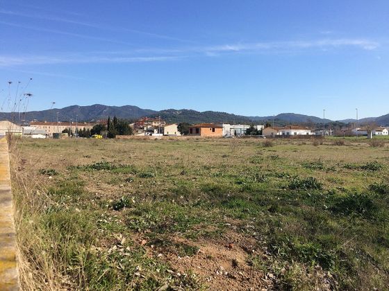 Foto 2 de Alquiler de terreno en Vilanova del Vallès de 8000 m²