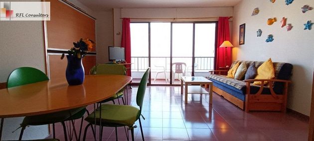 Foto 1 de Pis en venda a Torreblanca de 1 habitació amb terrassa