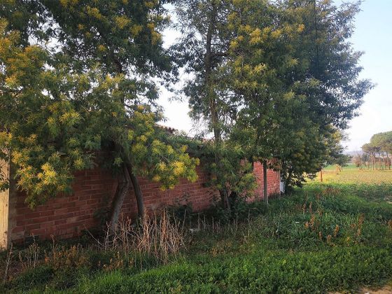 Foto 2 de Casa rural en venda a Llagostera de 5 habitacions amb jardí