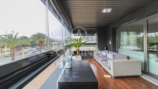 Foto 1 de Pis en venda a Nou Altabix de 3 habitacions amb terrassa i piscina