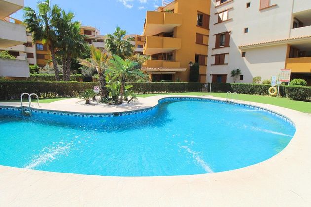 Foto 1 de Pis en venda a urbanización Punta Prima de 2 habitacions amb terrassa i piscina