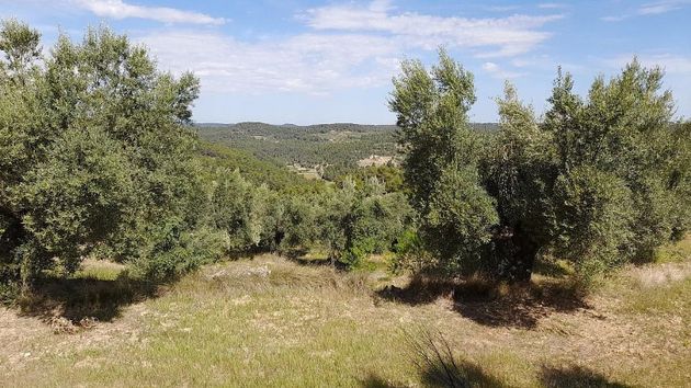 Foto 2 de Venta de terreno en Horta de Sant Joan de 71008 m²