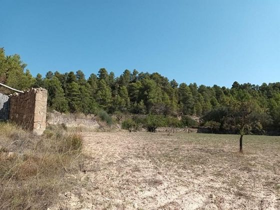 Foto 2 de Venta de terreno en Horta de Sant Joan de 16000 m²