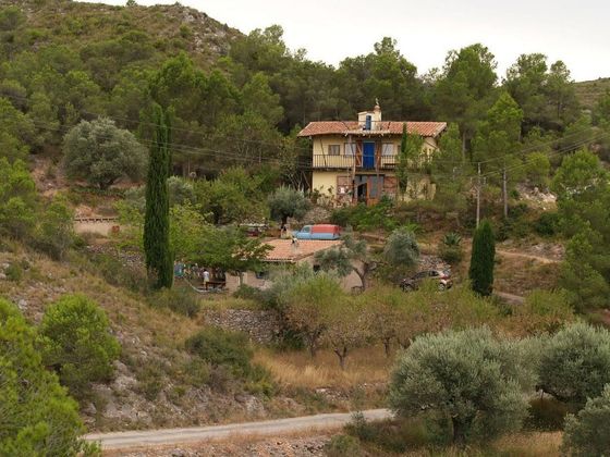 Foto 1 de Casa en venda a Miravet de 3 habitacions amb terrassa i jardí