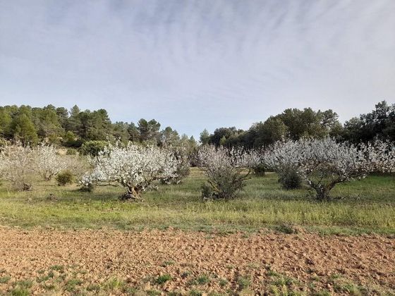 Foto 1 de Venta de terreno en Horta de Sant Joan de 3433 m²