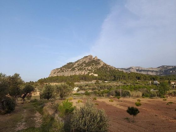 Foto 1 de Venta de terreno en Horta de Sant Joan de 8096 m²