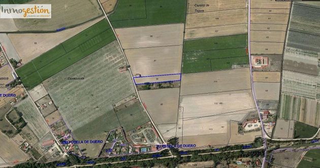 Foto 1 de Venta de terreno en Tudela de Duero de 6922 m²