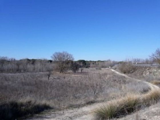 Foto 2 de Venta de terreno en Tudela de Duero de 7552 m²