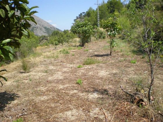 Foto 2 de Venta de terreno en Callosa d´En Sarrià de 15460 m²