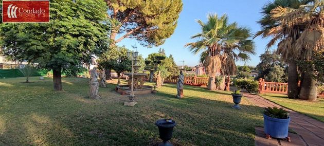 Foto 1 de Xalet en venda a Cerro Muriano de 4 habitacions amb piscina i jardí
