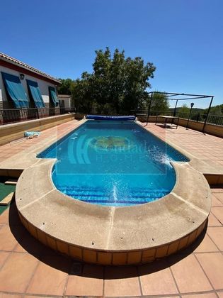 Foto 1 de Casa rural en venda a El Higuerón de 7 habitacions amb terrassa i piscina