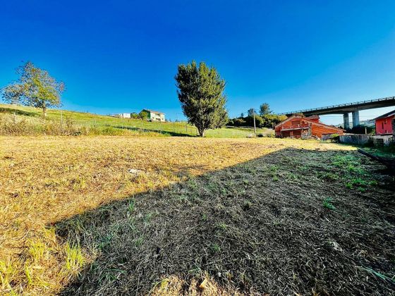 Foto 2 de Venta de terreno en Corvera de Asturias de 1200 m²