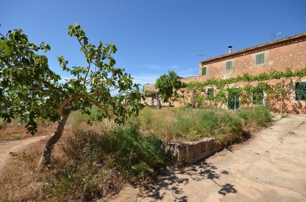 Foto 2 de Casa rural en venda a Sant Jordi - Son Ferriol de 5 habitacions amb jardí