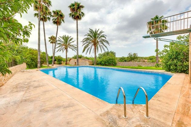 Foto 2 de Casa rural en venda a Sa Torre de 5 habitacions amb piscina i jardí