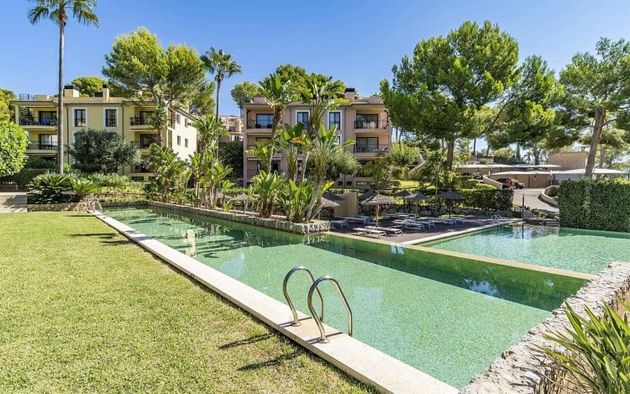 Foto 1 de Pis en venda a Es Camp de Mar de 4 habitacions amb terrassa i piscina