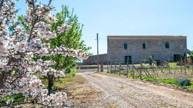 Foto 2 de Casa rural en venta en Sant Jordi - Son Ferriol de 4 habitaciones con jardín y aire acondicionado