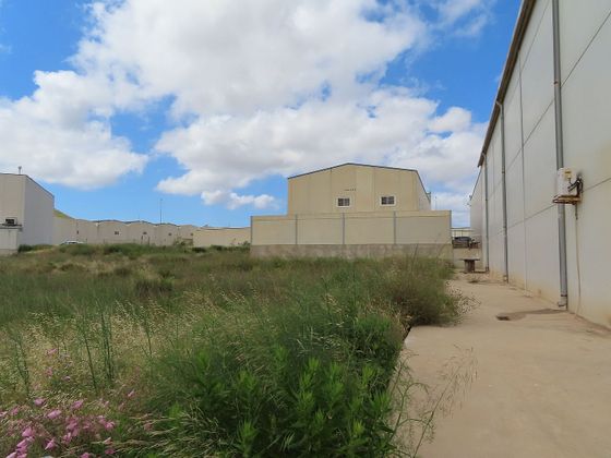 Foto 2 de Venta de terreno en La Union Pueblo de 782 m²