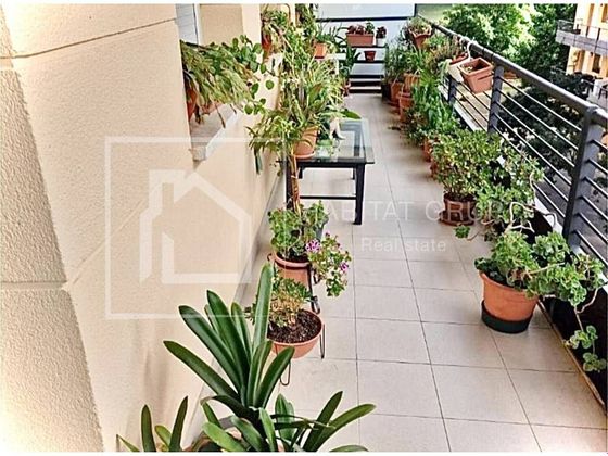 Foto 1 de Pis en venda a Montilivi - Palau de 3 habitacions amb terrassa i garatge