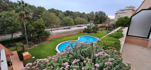 Foto 2 de Pis en lloguer a Sant Llorenç des Cardassar de 2 habitacions amb terrassa i piscina