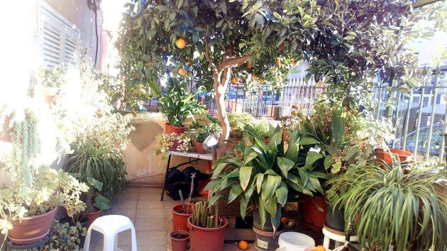 Foto 1 de Pis en venda a Estadi Balear - Rafal Nou - Son Malferit de 3 habitacions amb terrassa i jardí