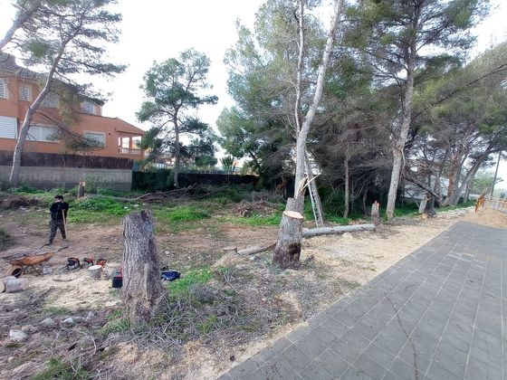 Foto 1 de Venta de terreno en Can Pastilla - Les Meravelles - S'Arenal de 626 m²