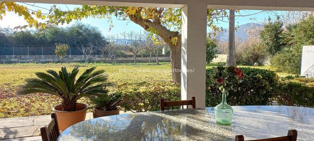 Foto 2 de Casa rural en venda a Ciutat d'Alcúdia de 7 habitacions amb terrassa i jardí