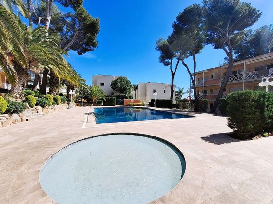 Foto 2 de Piso en venta en Els Pins - Politur de 1 habitación con terraza y piscina