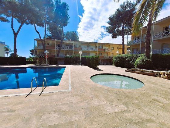 Foto 1 de Piso en venta en Els Pins - Politur de 1 habitación con terraza y piscina