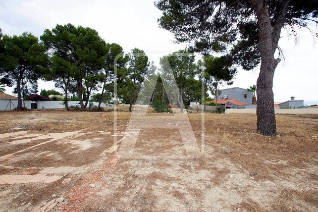 Foto 2 de Terreny en venda a Zona Levante - Playa Fossa de 5000 m²